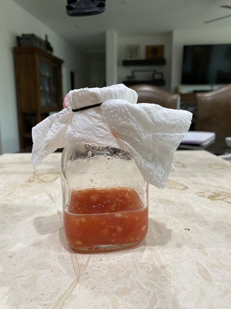 Fermenting Tomato Seeds To save tomato seeds to plant later