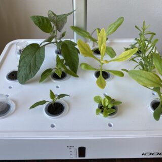 Indoor Hydroponic Garden System with plants in it